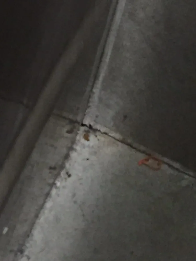 Expert garden landscaping experts serving Mount Kisco, NY - R & M Construction & Landscaping