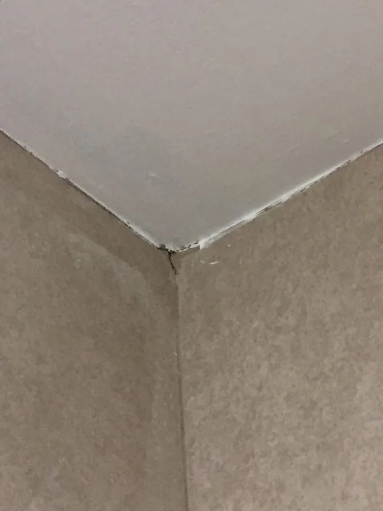 Trusted yard cleanup service in Mount Kisco, NY by R & M Construction & Landscaping