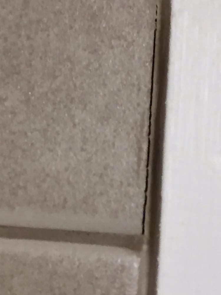 Professional yard cleanup service near you in Mount Kisco, NY by R & M Construction & Landscaping