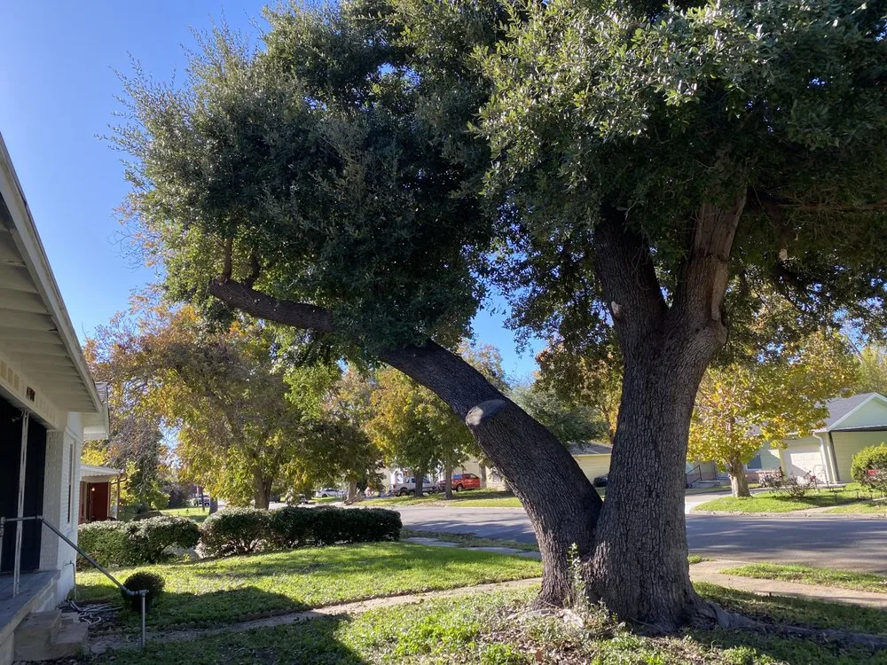 Local garden landscaping in China Spring, TX by R & M Cutting For You