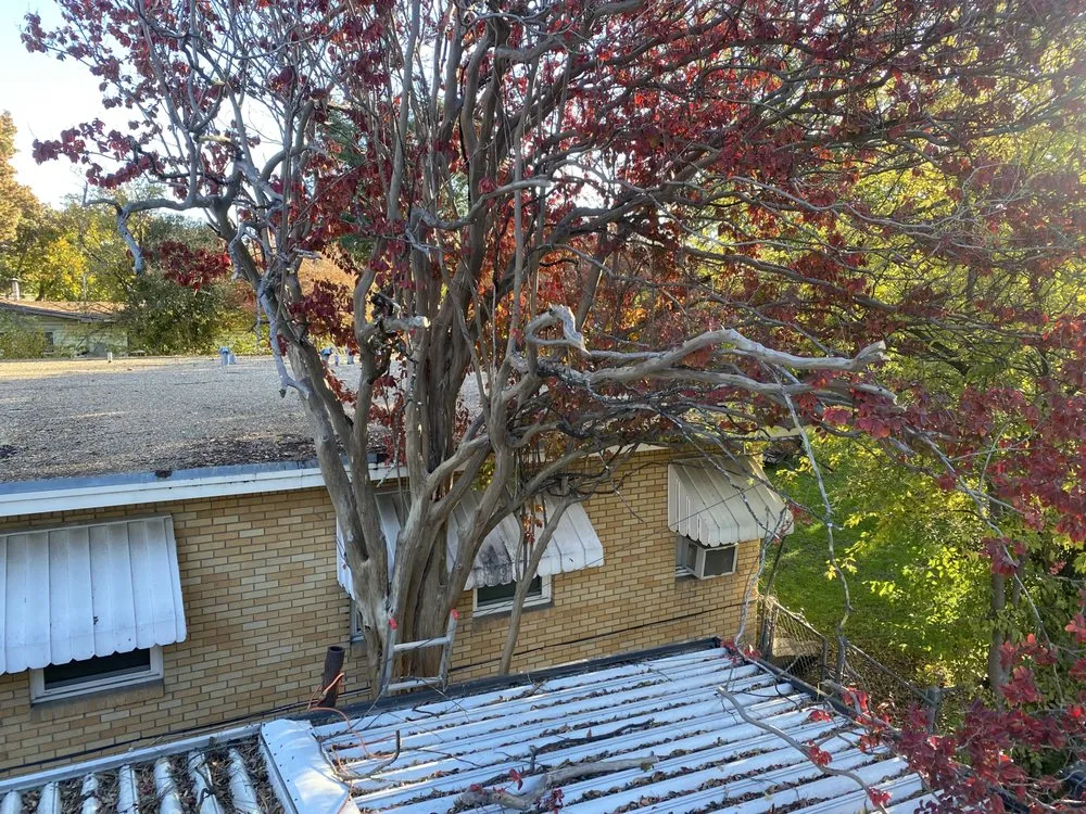 Affordable residential landscaping for beautiful yards in China Spring, TX by R & M Cutting For You