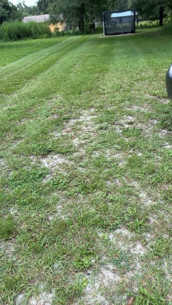 Professional landscaping services in Webster, FL - R & M Landcaping