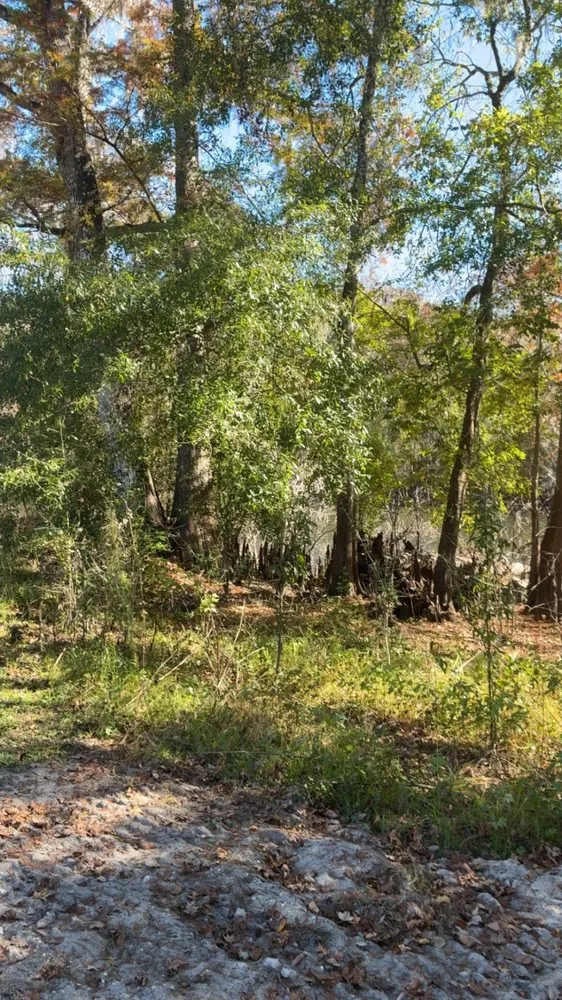 Trusted landscaping services in Webster, FL by R & M Landcaping