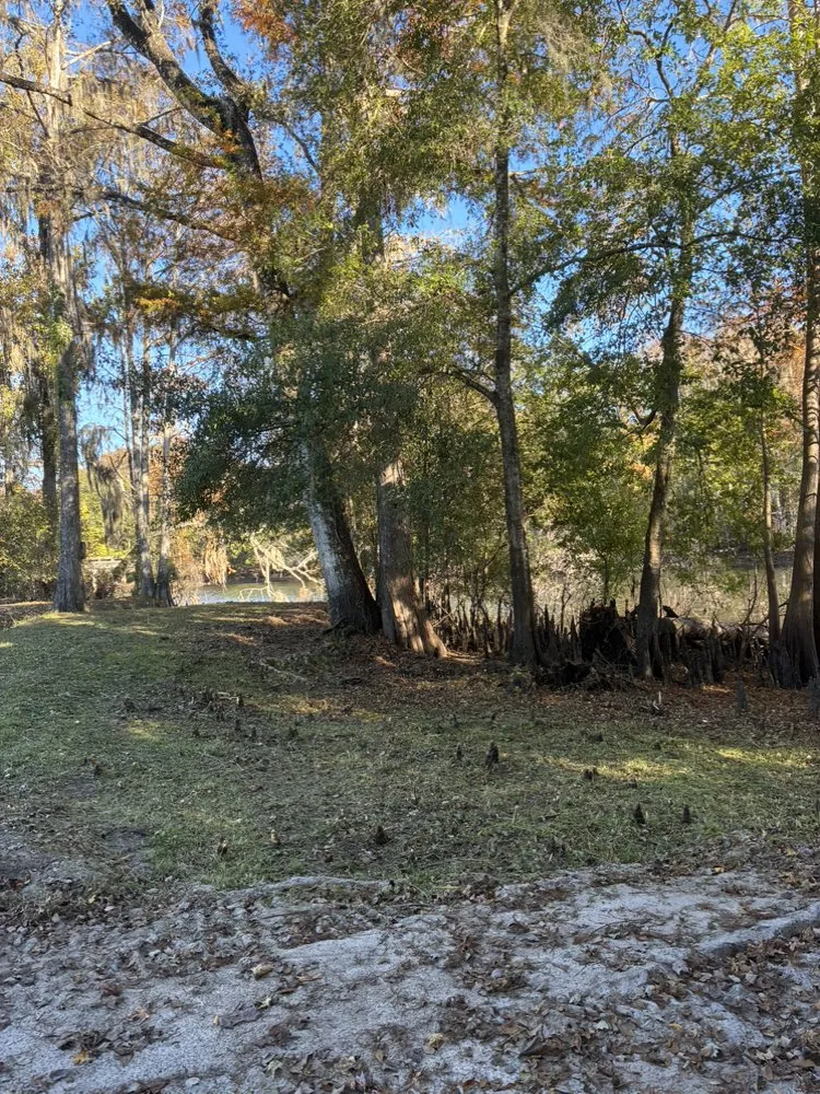 Local landscape design in Webster, FL - R & M Landcaping