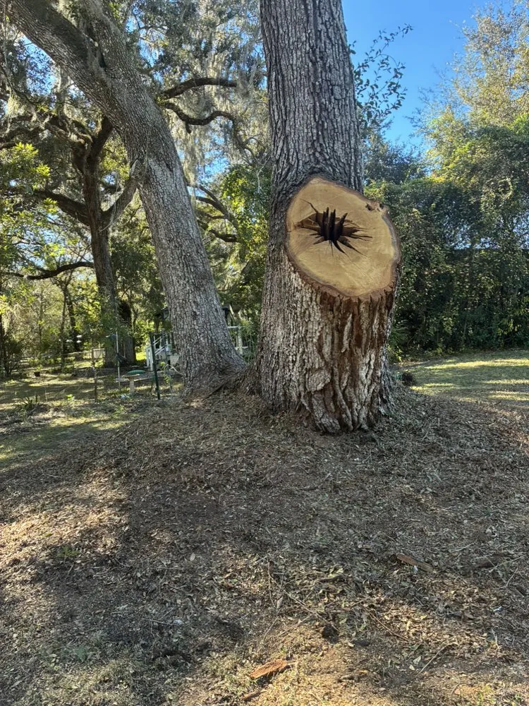 Local lawn care service in Webster, FL - R & M Landcaping