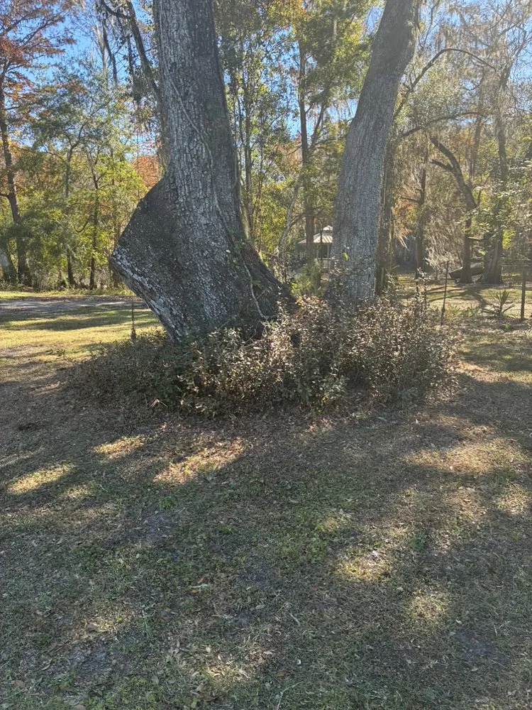 Professional lawn care service near you across Webster, FL - R & M Landcaping