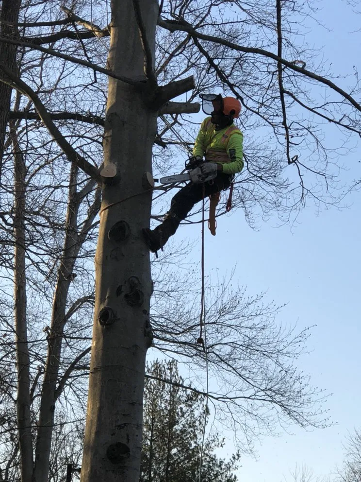 Top-rated lawn care service experts serving Lanham, MD - R & M Landscaping & Construction