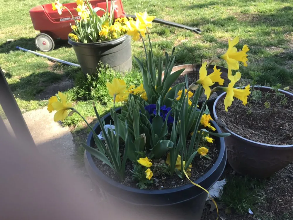 Custom yard maintenance in Lanham, MD by R & M Landscaping & Construction