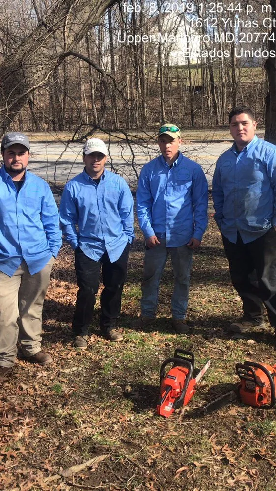 Reliable yard cleanup service in Lanham, MD by R & M Landscaping & Construction