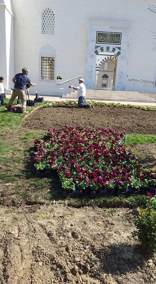 Trusted yard cleanup service for outdoor upgrades across Lanham, MD - R & M Landscaping & Construction