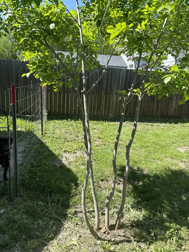Professional landscape installation for outdoor upgrades across Billings, MT - R & M Landscaping Services