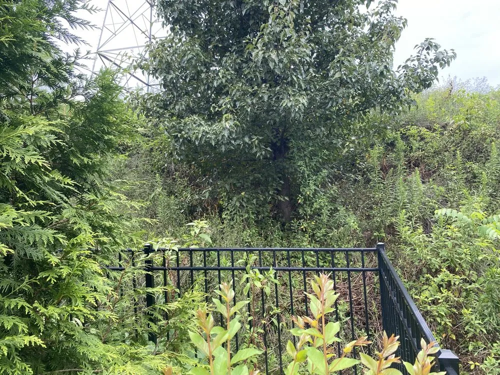 Local landscape installation for homes across Concord, NC - R & N Landscaping Service