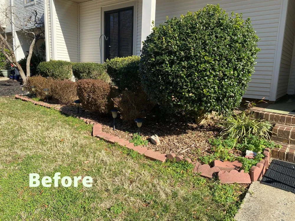 Local yard maintenance experts serving Concord, NC - R & N Landscaping Service