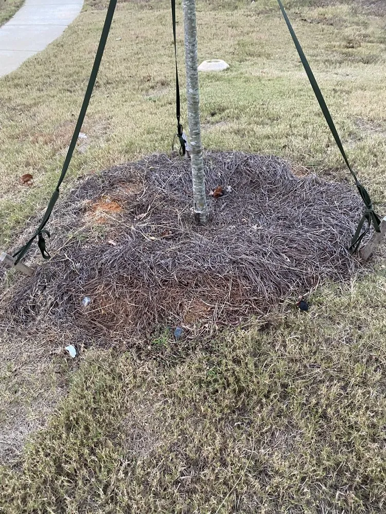 Local landscape design in Concord, NC - R & N Landscaping Service