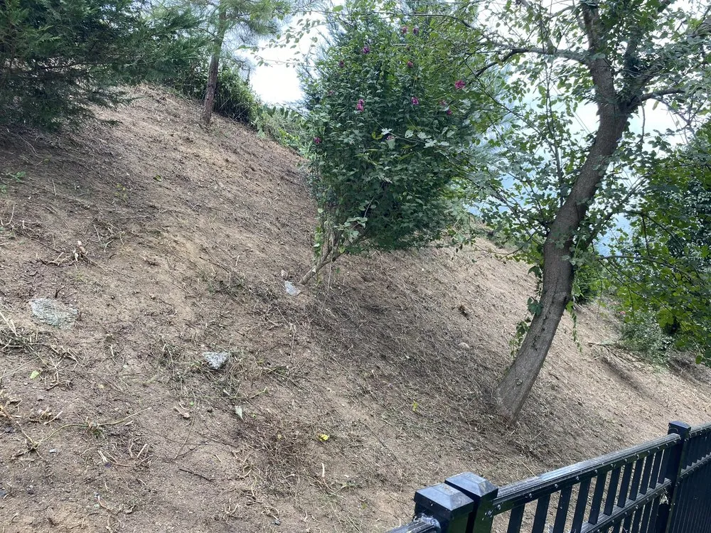 Local outdoor landscaping with custom design across Concord, NC - R & N Landscaping Service