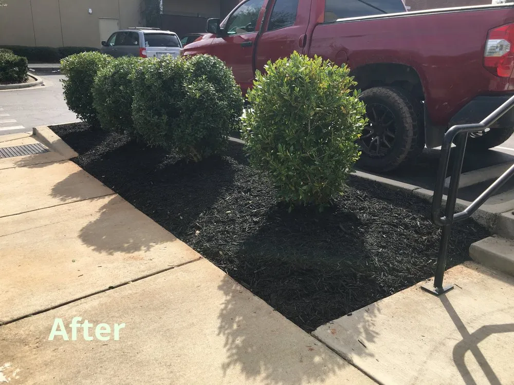Trusted yard cleanup service experts serving Concord, NC - R & N Landscaping Service
