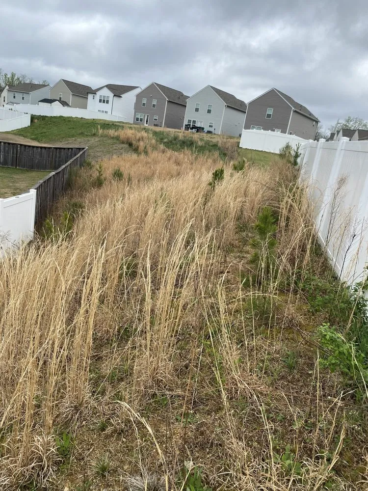 Local landscape design experts serving Concord, NC - R & N Landscaping Service