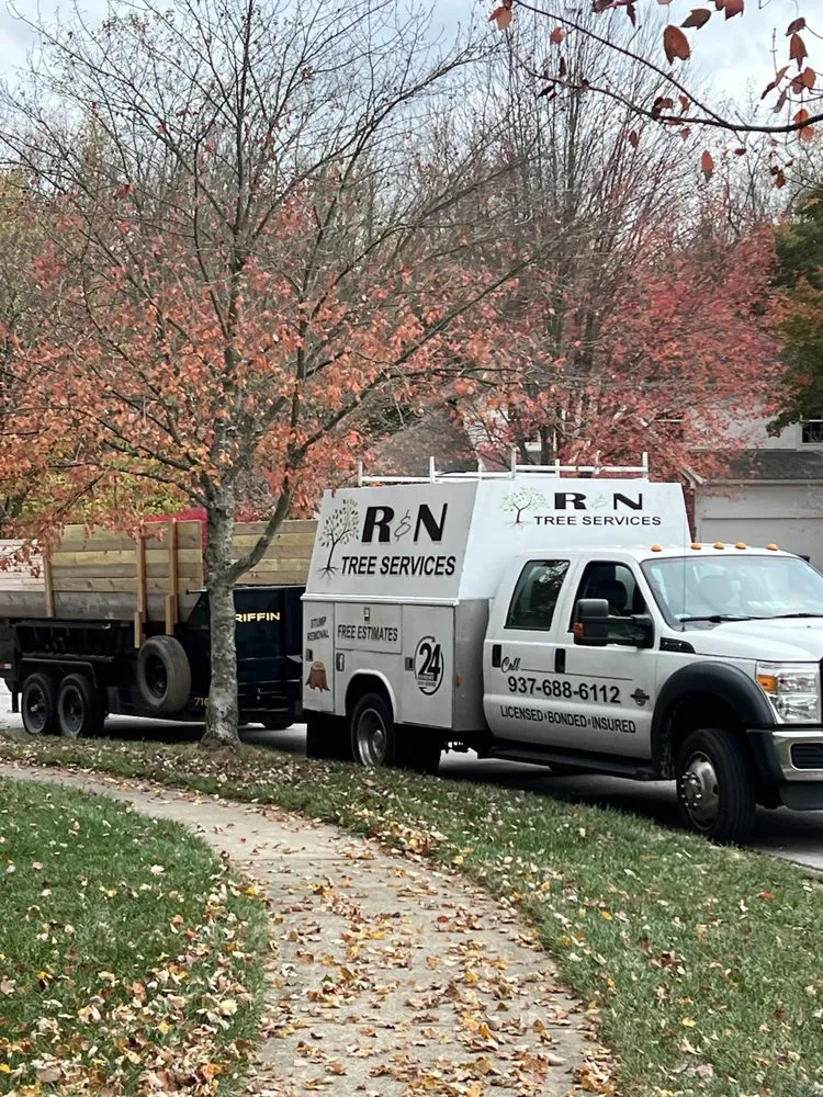 Reliable landscape installation in Springfield, OH by R & N Tree Services