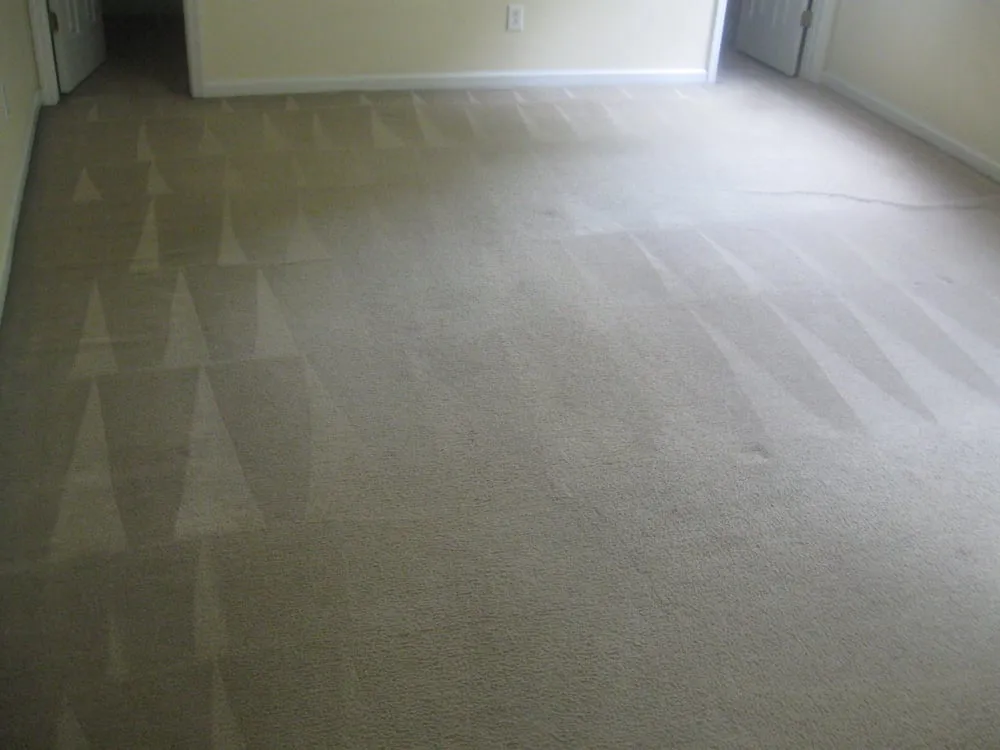 Affordable yard cleanup service for outdoor upgrades in Jacksonville, NC by R & R Cleaning & Landscaping Service, Inc.