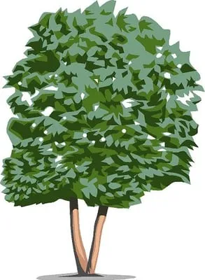 R & R Landscape Co