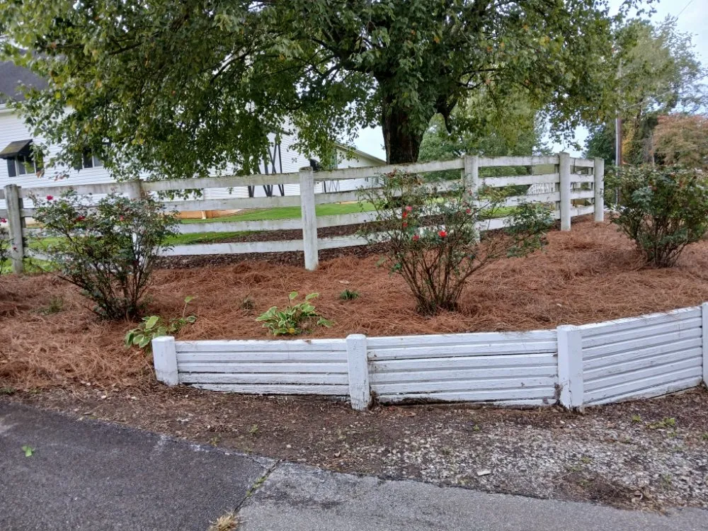 Trusted yard cleanup service for year-round maintenance in Colonial Heights, TN by R & R Landscape Designs