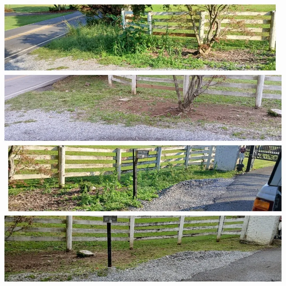 Reliable landscaping services for year-round maintenance in Colonial Heights, TN by R & R Landscape Designs