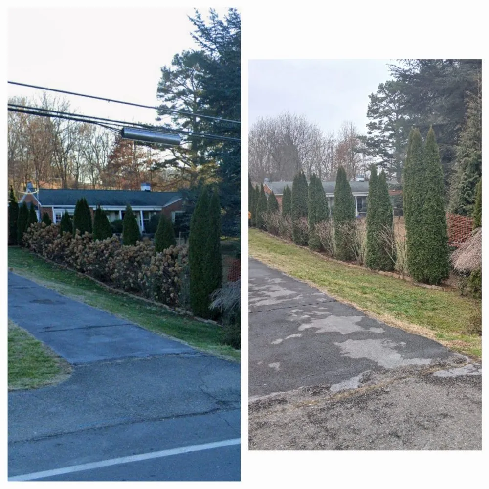 Expert lawn care service near you in Colonial Heights, TN by R & R Landscape Designs