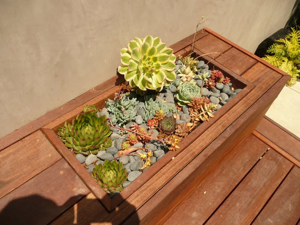 Trusted landscape installation experts serving Los Angeles, CA - R & R Landscape Services