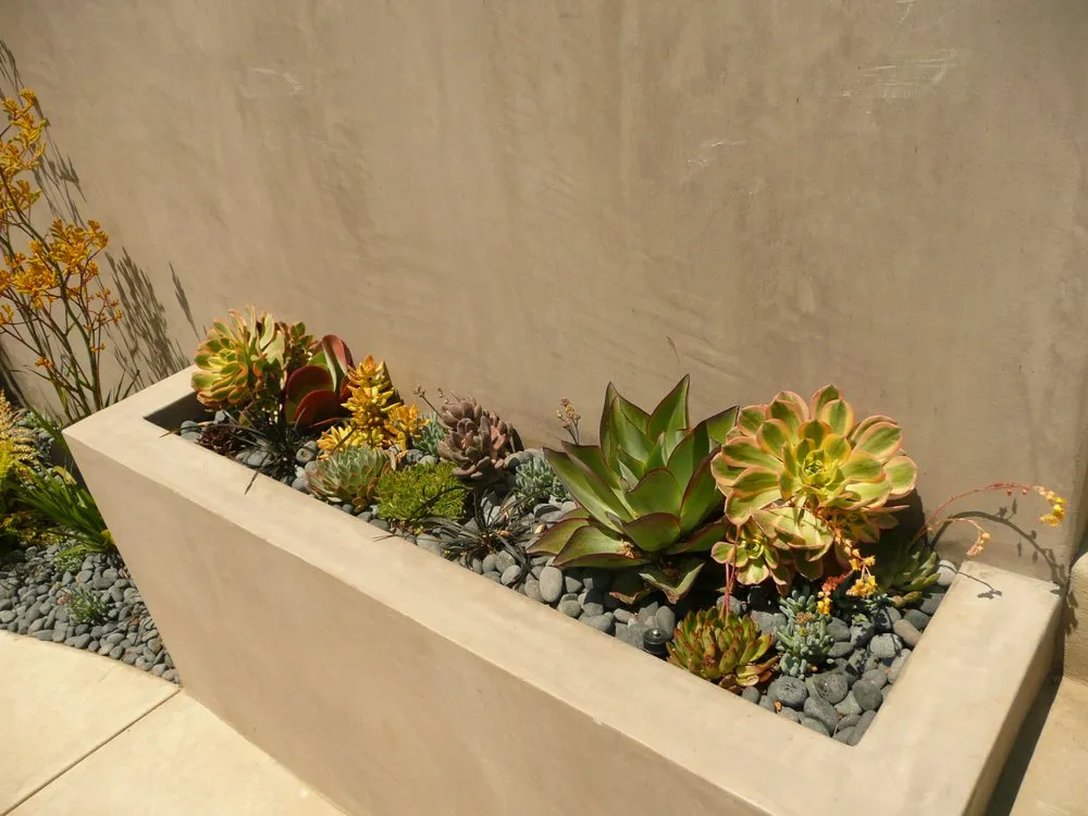 Expert yard maintenance experts serving Los Angeles, CA - R & R Landscape Services