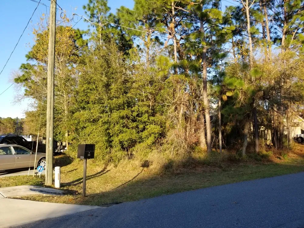 Local residential landscaping for year-round maintenance across Holder, FL - R & R Landscaping And Trees