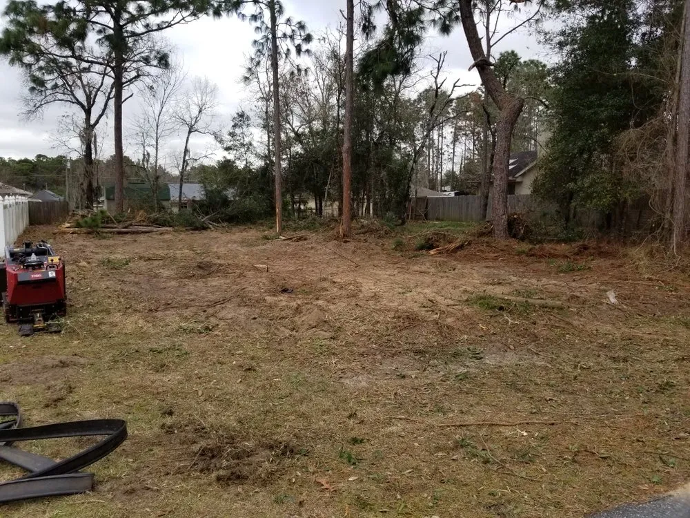 Custom yard cleanup service in Holder, FL - R & R Landscaping And Trees