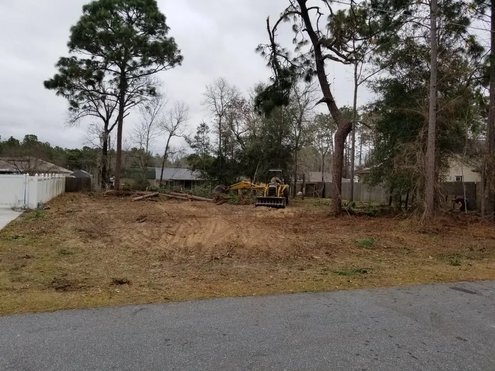 Reliable yard cleanup service near you in Holder, FL by R & R Landscaping And Trees