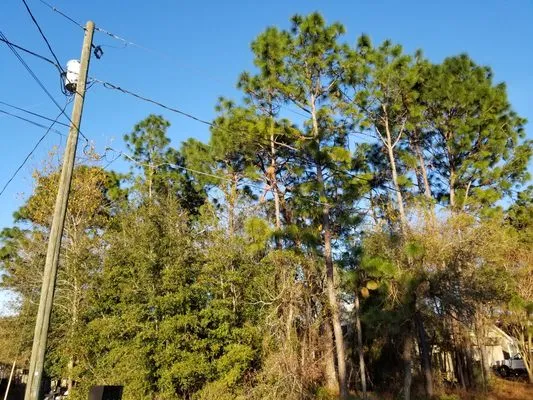 R & R Landscaping And Trees