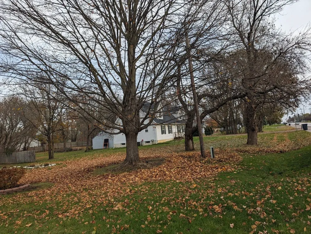 Top-rated yard cleanup service with custom design across Flint, MI - R & R Lawn Maintenace