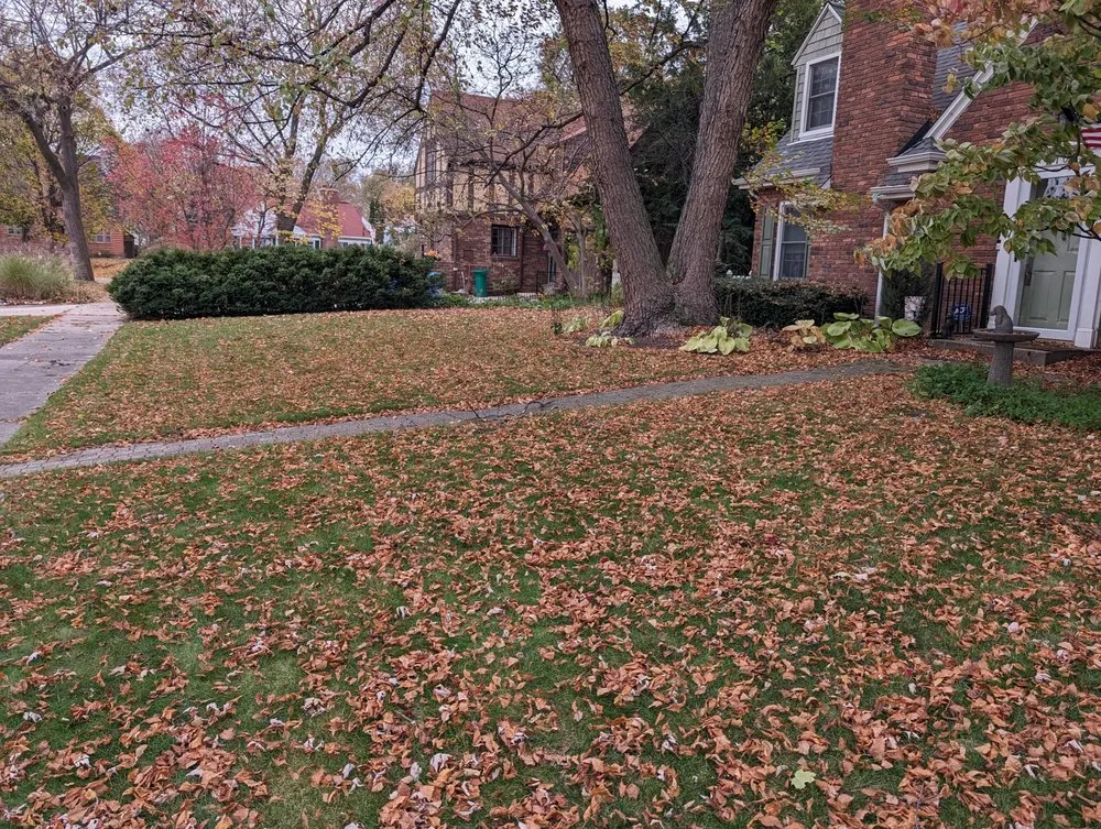 Expert residential landscaping in Flint, MI - R & R Lawn Maintenace