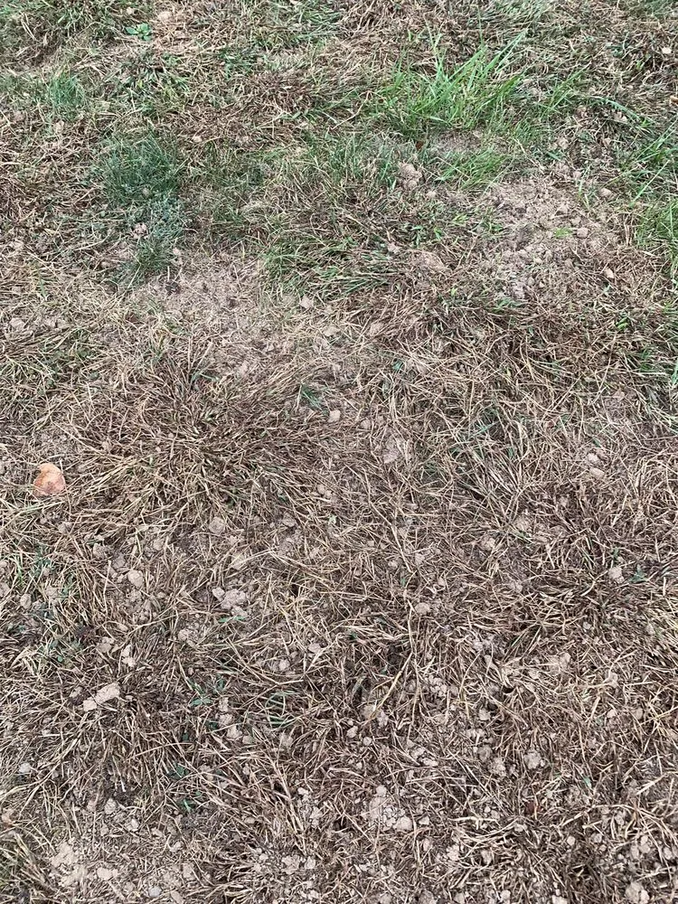 Trusted lawn care service in Martins Creek, PA by R & R Lawn Service
