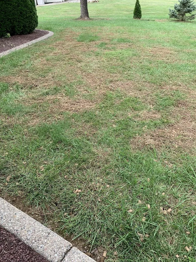 Professional landscape installation in Martins Creek, PA - R & R Lawn Service