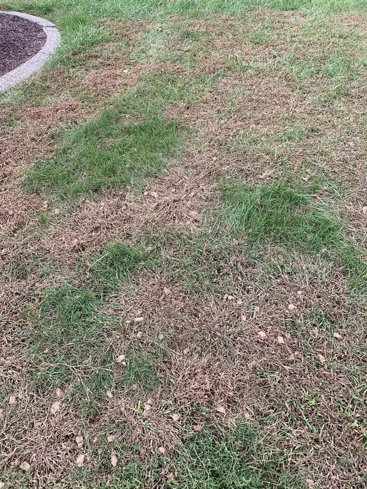 Professional residential landscaping in Martins Creek, PA by R & R Lawn Service