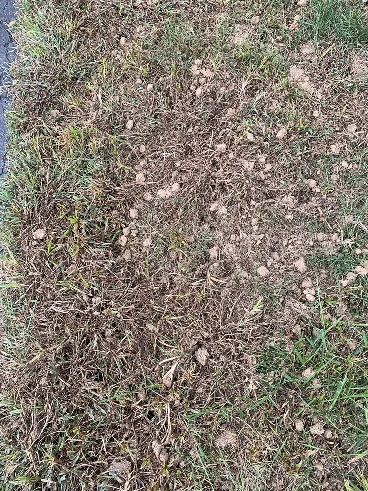 Custom lawn mowing service in Martins Creek, PA by R & R Lawn Service