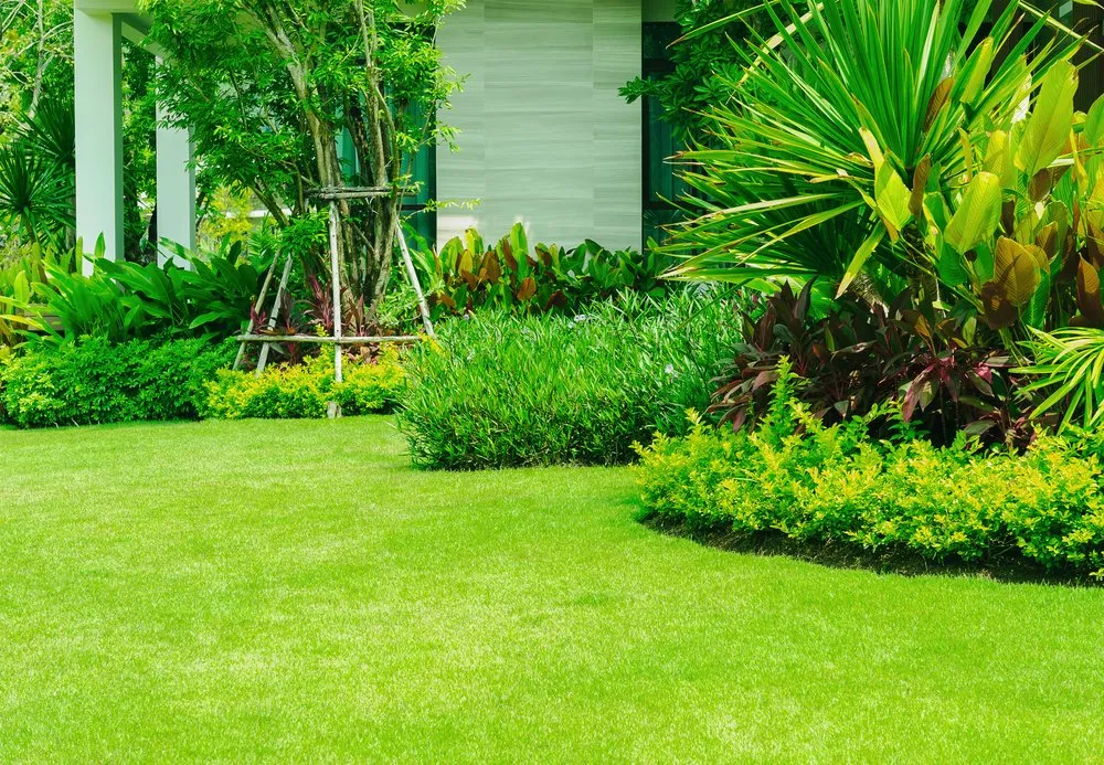 Professional residential landscaping for outdoor upgrades across Midland, TX - R & R Lawn Shrub & Tree Services