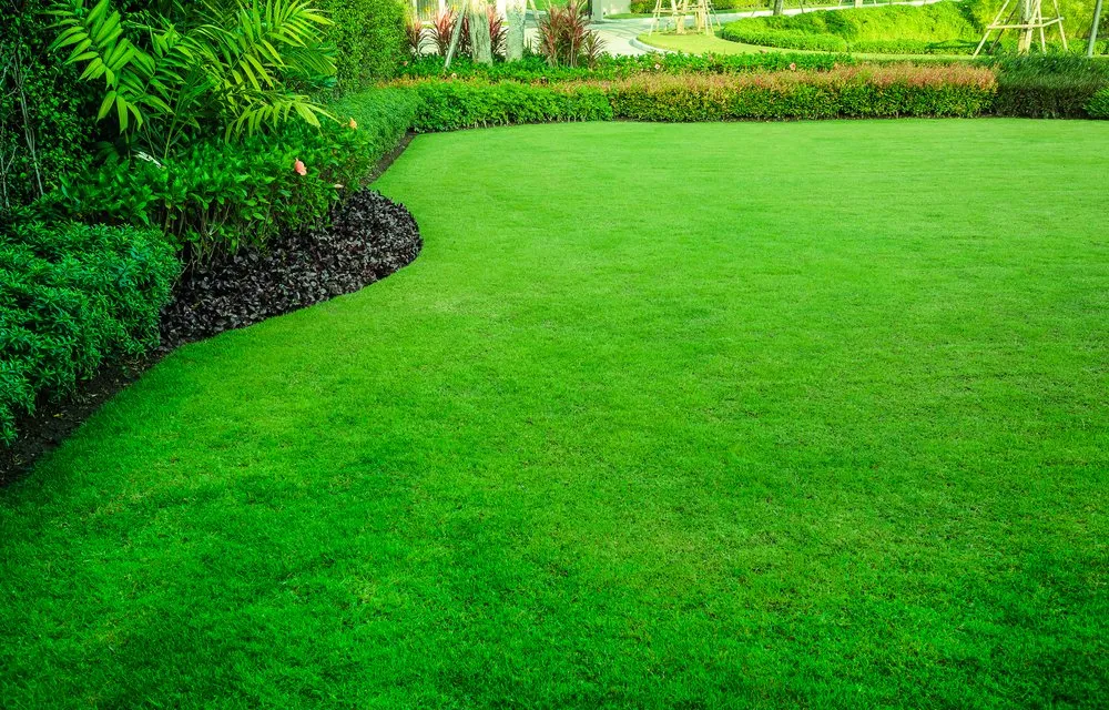 Local lawn care service in Midland, TX by R & R Lawn Shrub & Tree Services