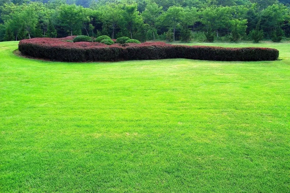 Reliable outdoor landscaping in Midland, TX - R & R Lawn Shrub & Tree Services