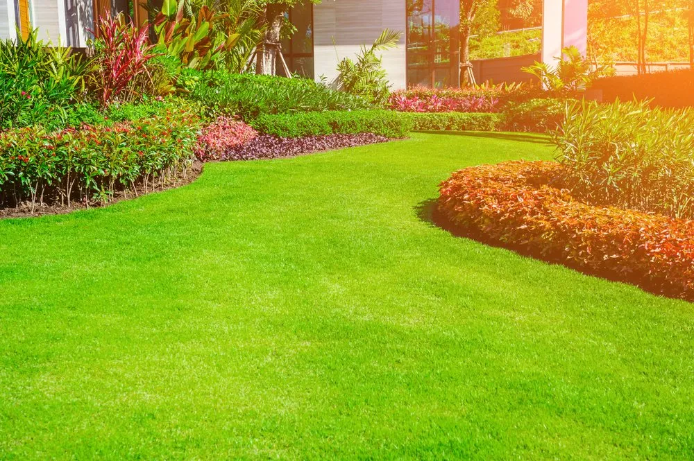Trusted outdoor landscaping for homes across Midland, TX - R & R Lawn Shrub & Tree Services