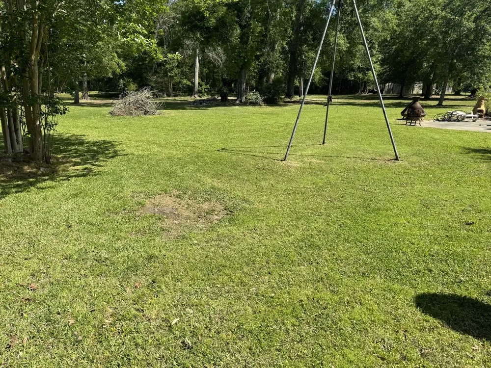 Local landscape installation experts serving Orange, TX - R & R Lawn Specialties