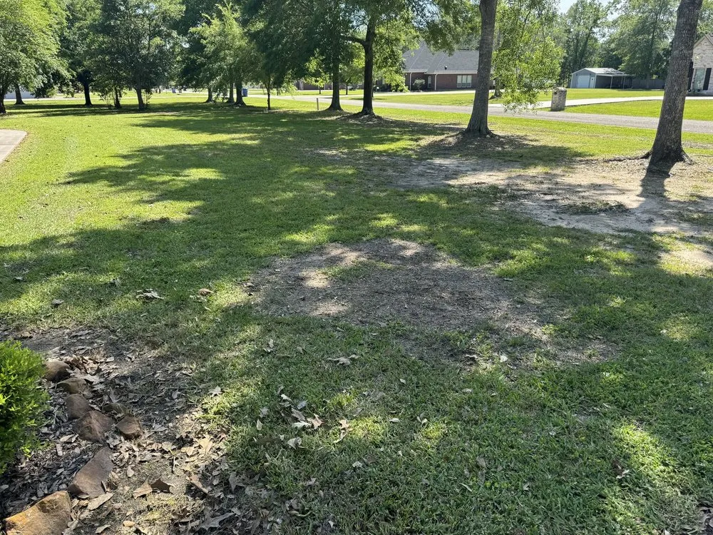 Top-rated outdoor landscaping for beautiful yards across Orange, TX - R & R Lawn Specialties