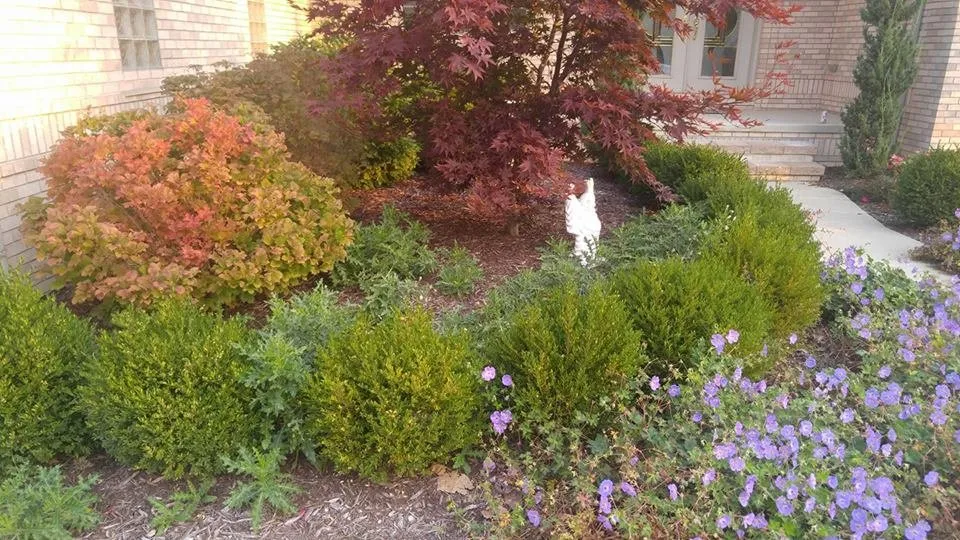 Professional outdoor landscaping in Macomb, MI by R & R Lawnscaping