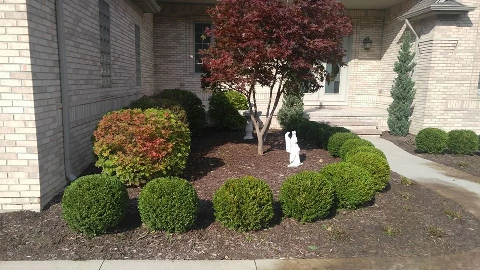 Expert lawn care service experts serving Macomb, MI - R & R Lawnscaping