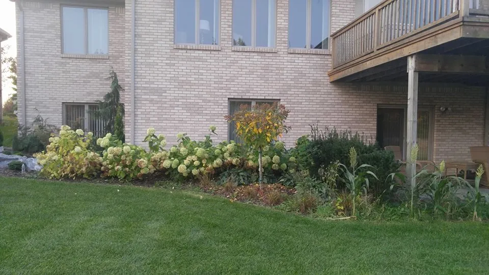 Top-rated yard maintenance near you in Macomb, MI by R & R Lawnscaping