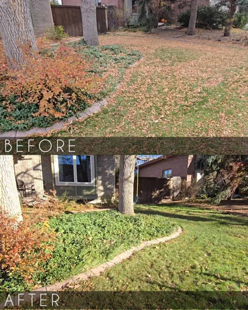 Custom lawn care service for residential properties in Denver, CO by R & R Outdoor Services