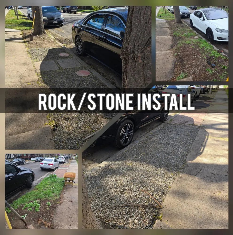 Expert yard cleanup service for year-round maintenance in Denver, CO by R & R Outdoor Services